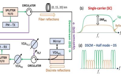 Bidirectional Transmission Modelling in Real-Time