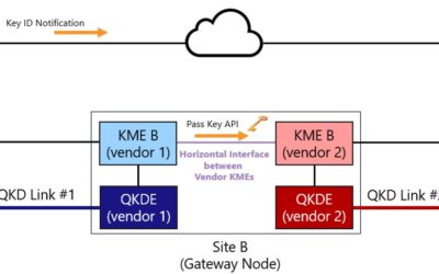 End-to-End Encryption in Optical Transport Networks