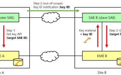 Standard Interfaces for High-Capacity Optical Encryption